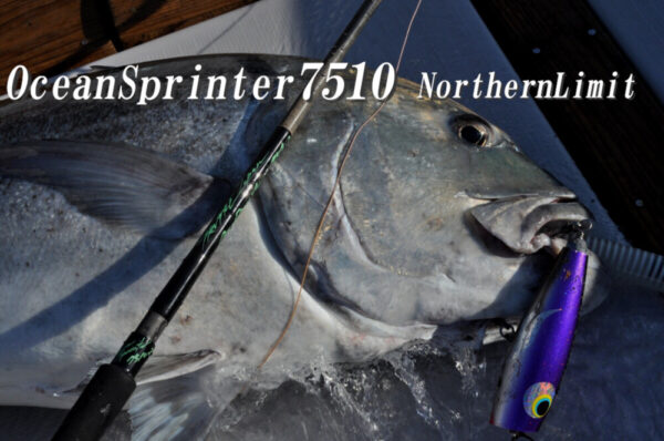 TRUTH JAPAN Ocean Sprinter 7510 Northern Limit - Image 3