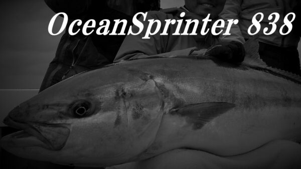 TRUTH JAPAN Ocean Sprinter 838 - Image 3